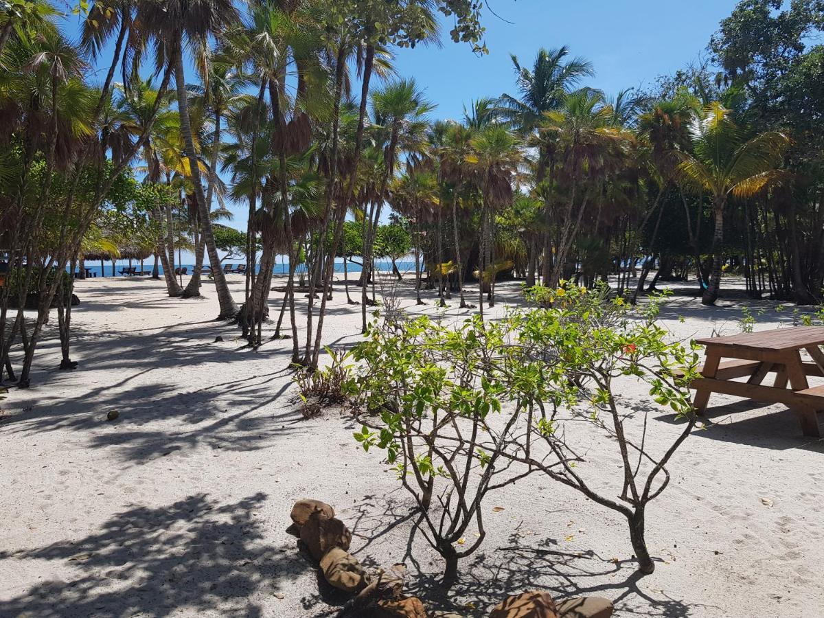 Wild Orchid Hotel Placencia Luaran gambar