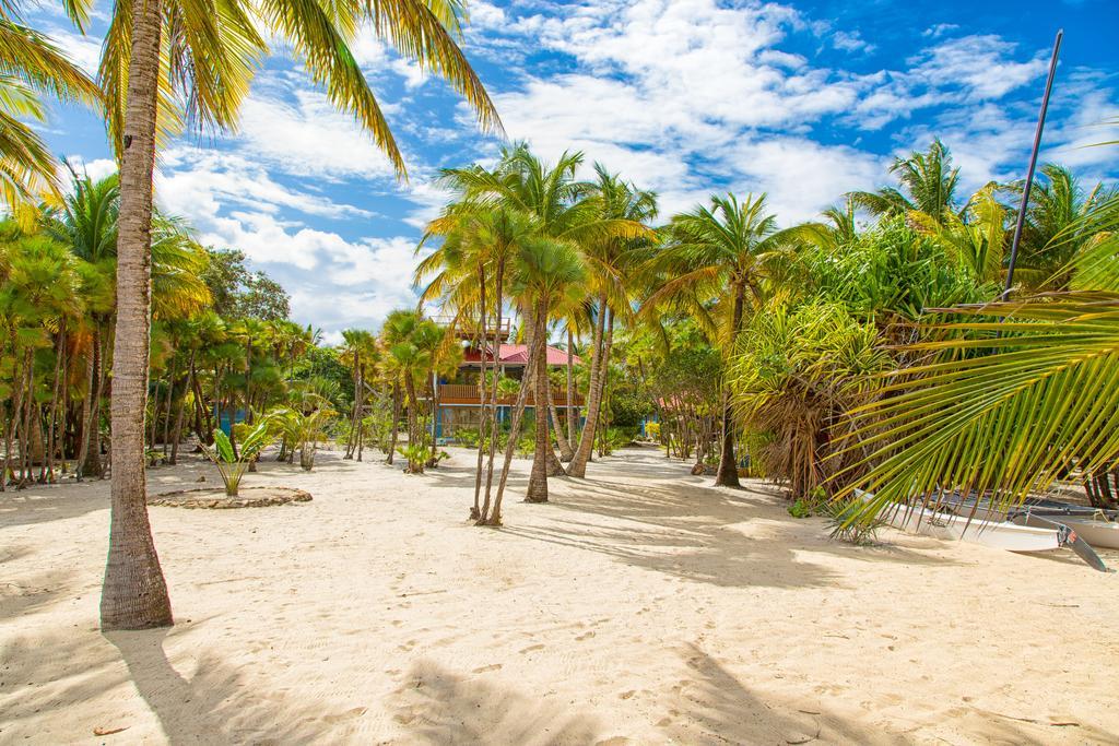 Wild Orchid Hotel Placencia Luaran gambar