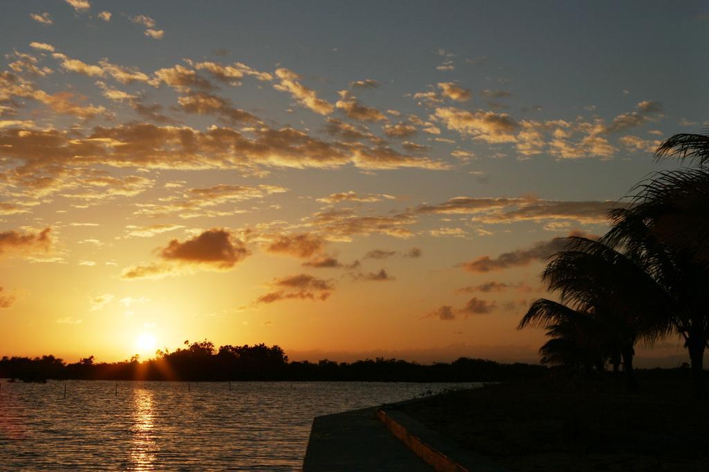 Wild Orchid Hotel Placencia Bilik gambar